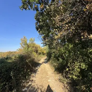Access trail, site RES1, photographed 8 October 2026