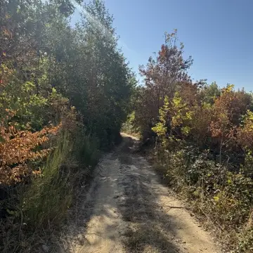 Access trail, site RES1, photographed 8 October 2026